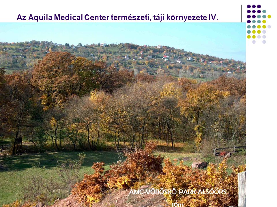 Az Aquila Medical Center természeti, táji környezete IV. AMC-VÖRÖSK Ő PARK ALSÓÖRS 10m
