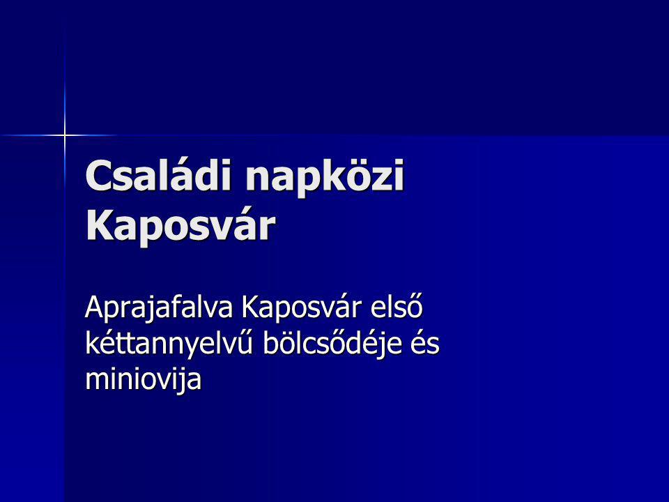 Családi napközi Kaposvár Aprajafalva Kaposvár első kéttannyelvű bölcsődéje és miniovija