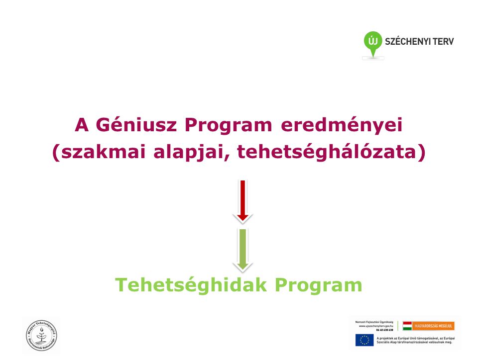 A Géniusz Program eredményei (szakmai alapjai, tehetséghálózata) Tehetséghidak Program