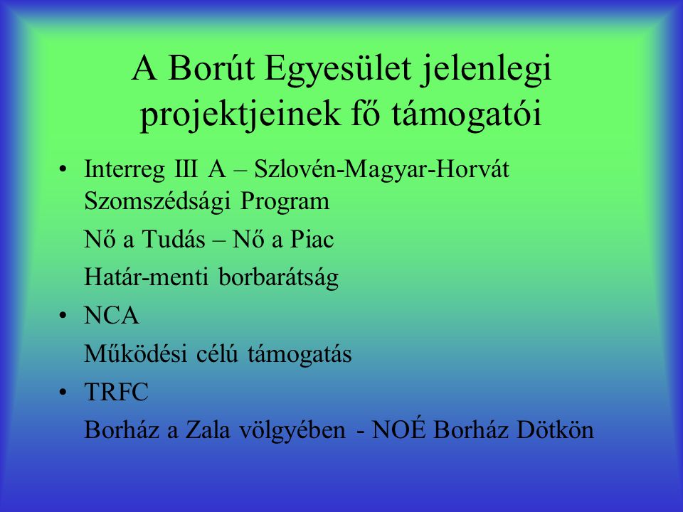 A Borút Egyesület jelenlegi projektjeinek fő támogatói •Interreg III A – Szlovén-Magyar-Horvát Szomszédsági Program Nő a Tudás – Nő a Piac Határ-menti borbarátság •NCA Működési célú támogatás •TRFC Borház a Zala völgyében - NOÉ Borház Dötkön