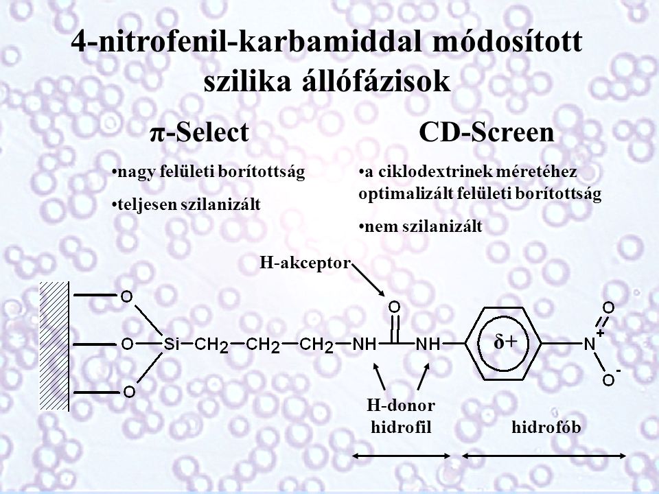 4-nitrofenil-karbamiddal módosított szilika állófázisok π-Select •nagy felületi borítottság •teljesen szilanizált CD-Screen •a ciklodextrinek méretéhez optimalizált felületi borítottság •nem szilanizált H-akceptor H-donor δ+ hidrofilhidrofób