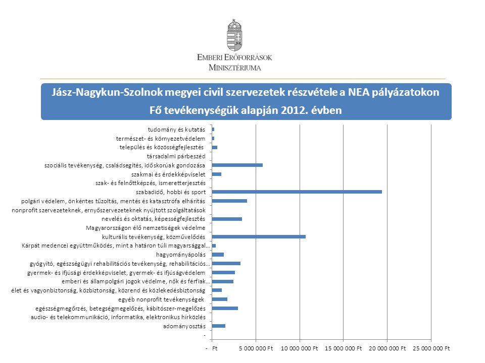 Jász-Nagykun-Szolnok megyei civil szervezetek részvétele a NEA pályázatokon Fő tevékenységük alapján 2012.