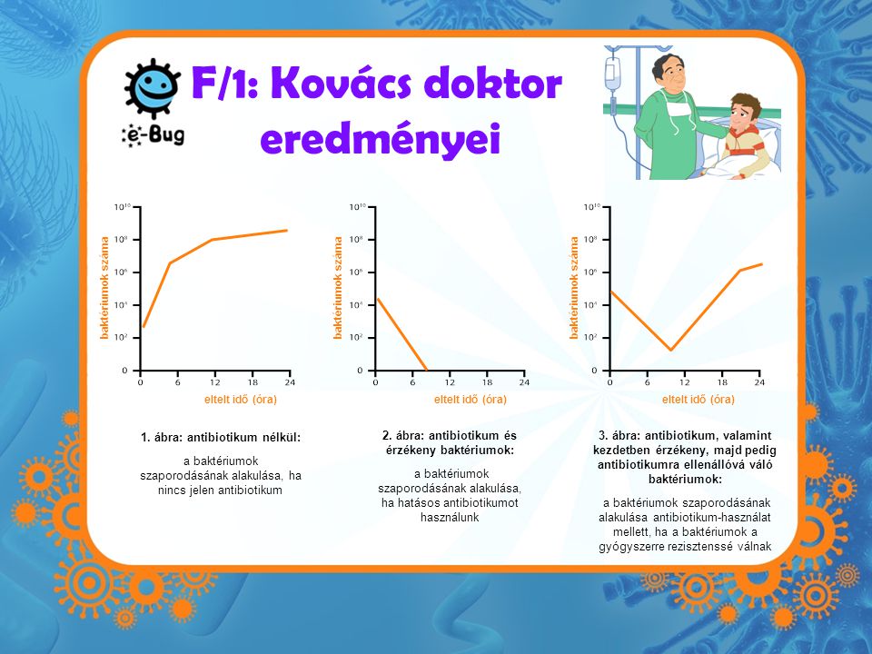 F/1: Kovács doktor eredményei eltelt idő (óra) baktériumok száma eltelt idő (óra) baktériumok száma 1.