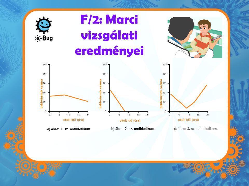 F/2: Marci vizsgálati eredményei a) ábra: 1. sz. antibiotikum b) ábra: 2.