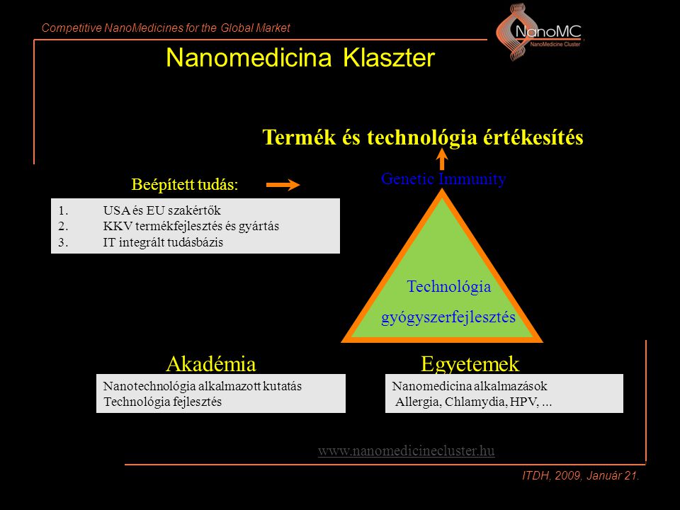 Competitive NanoMedicines for the Global Market ITDH, 2009, Január 21.