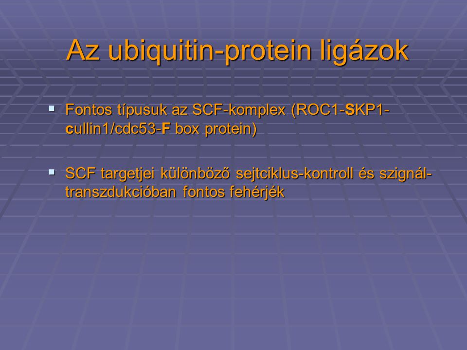 Az ubiquitin-protein ligázok  Fontos típusuk az SCF-komplex (ROC1-SKP1- cullin1/cdc53-F box protein)  SCF targetjei különböző sejtciklus-kontroll és szignál- transzdukcióban fontos fehérjék