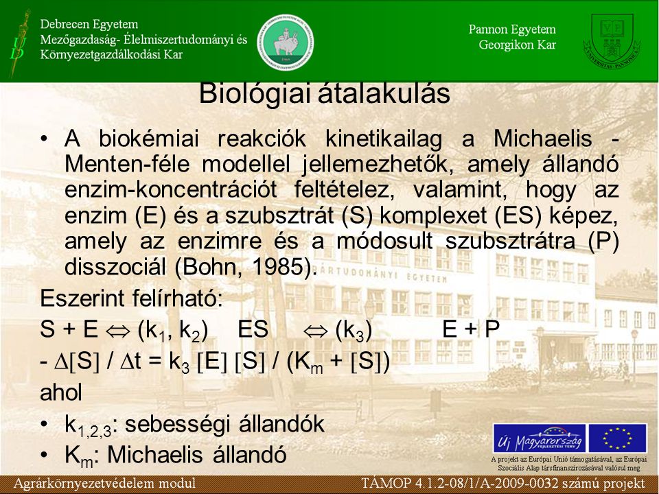 •A biokémiai reakciók kinetikailag a Michaelis - Menten-féle modellel jellemezhetők, amely állandó enzim-koncentrációt feltételez, valamint, hogy az enzim (E) és a szubsztrát (S) komplexet (ES) képez, amely az enzimre és a módosult szubsztrátra (P) disszociál (Bohn, 1985).
