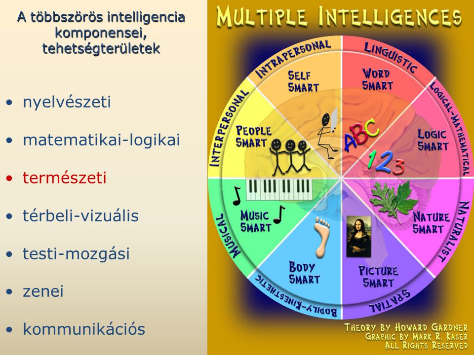 A többszörös intelligencia komponensei, tehetségterületek •nyelvészeti •matematikai-logikai •természeti •térbeli-vizuális •testi-mozgási •zenei •kommunikációs