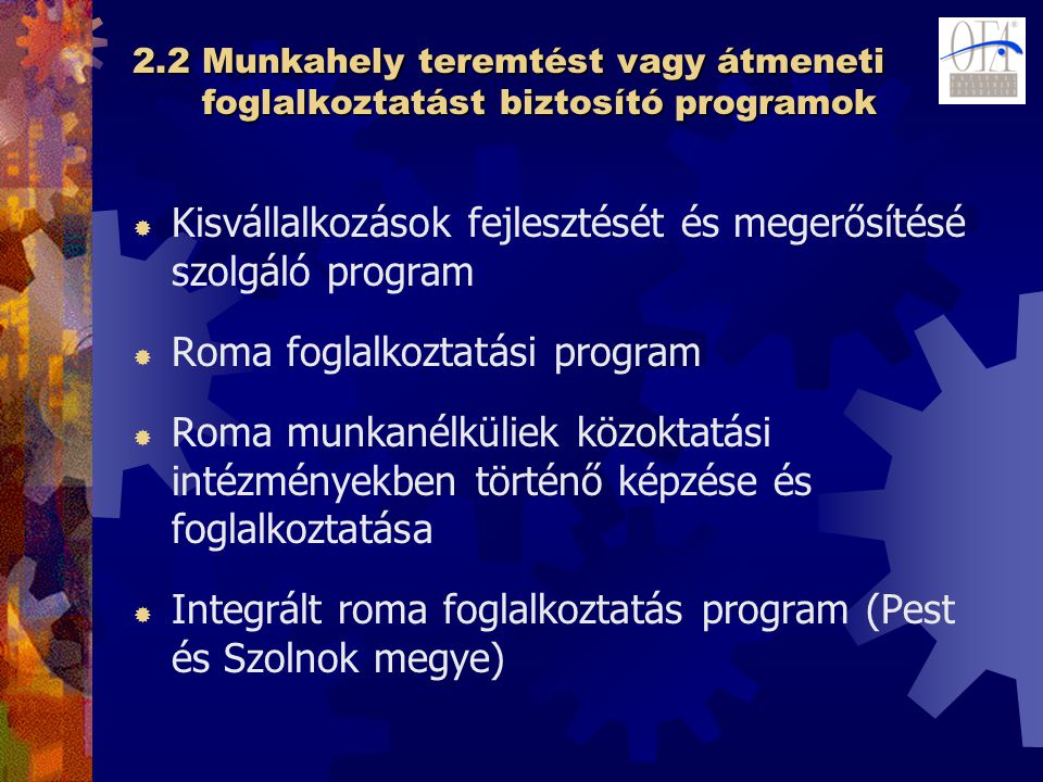 2.2 Munkahely teremtést vagy átmeneti foglalkoztatást biztosító programok  Kisvállalkozások fejlesztését és megerősítésé szolgáló program  Roma foglalkoztatási program  Roma munkanélküliek közoktatási intézményekben történő képzése és foglalkoztatása  Integrált roma foglalkoztatás program (Pest és Szolnok megye)