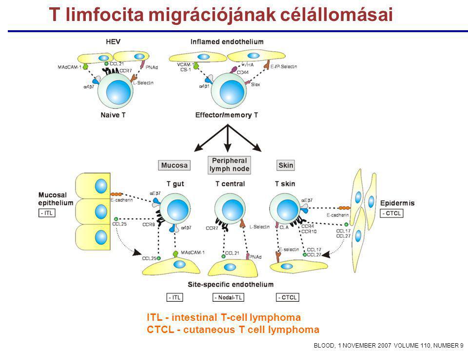 T limfocita migrációjának célállomásai ITL - intestinal T-cell lymphoma CTCL - cutaneous T cell lymphoma BLOOD, 1 NOVEMBER 2007 VOLUME 110, NUMBER 9