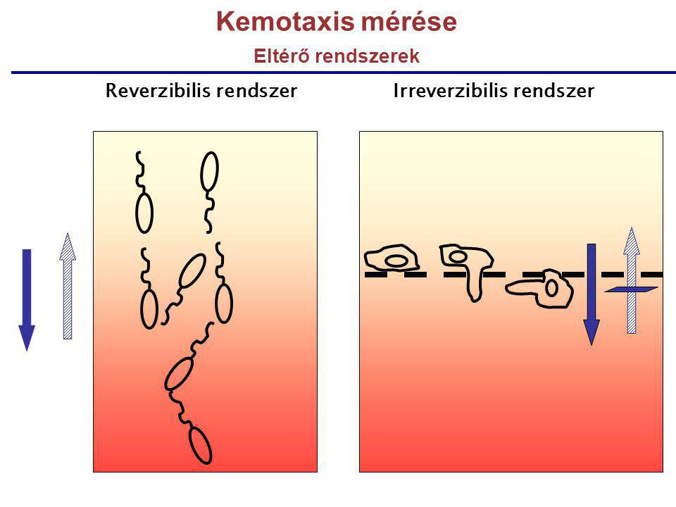 Kemotaxis mérése Eltérő rendszerek Irreverzibilis rendszerReverzibilis rendszer