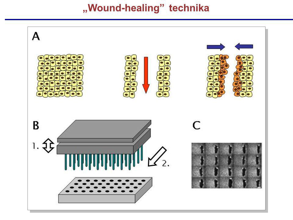 „Wound-healing technika