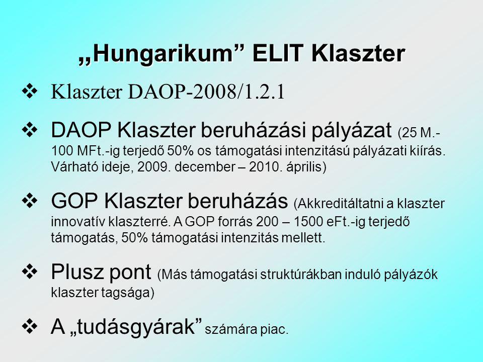 „ Hungarikum ELIT Klaszter  Klaszter DAOP-2008/1.2.1  DAOP Klaszter beruházási pályázat (25 M MFt.-ig terjedő 50% os támogatási intenzitású pályázati kiírás.