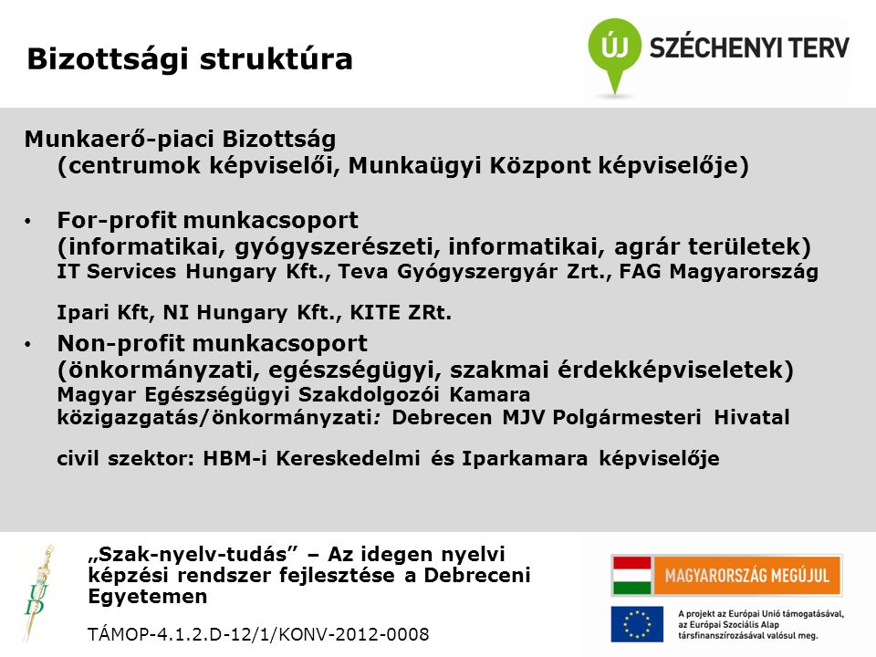 Bizottsági struktúra „Szak-nyelv-tudás – Az idegen nyelvi képzési rendszer fejlesztése a Debreceni Egyetemen TÁMOP D-12/1/KONV Munkaerő-piaci Bizottság (centrumok képviselői, Munkaügyi Központ képviselője) • For-profit munkacsoport (informatikai, gyógyszerészeti, informatikai, agrár területek) IT Services Hungary Kft., Teva Gyógyszergyár Zrt., FAG Magyarország Ipari Kft, NI Hungary Kft., KITE ZRt.