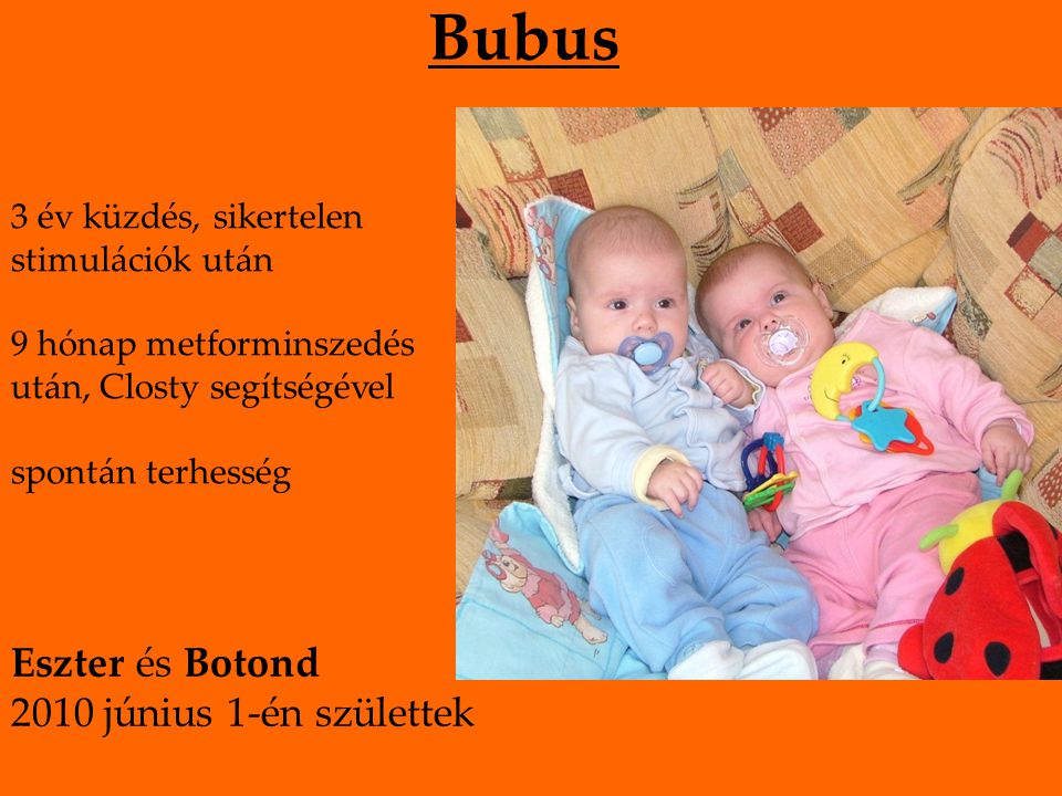 Bubus 3 év küzdés, sikertelen stimulációk után 9 hónap metforminszedés után, Closty segítségével spontán terhesség Eszter és Botond 2010 június 1-én születtek