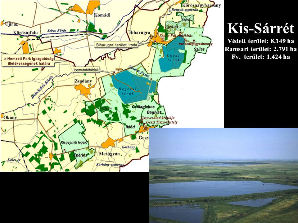 Kis-Sárrét Védett terület: ha Ramsari terület: ha Fv. terület: ha