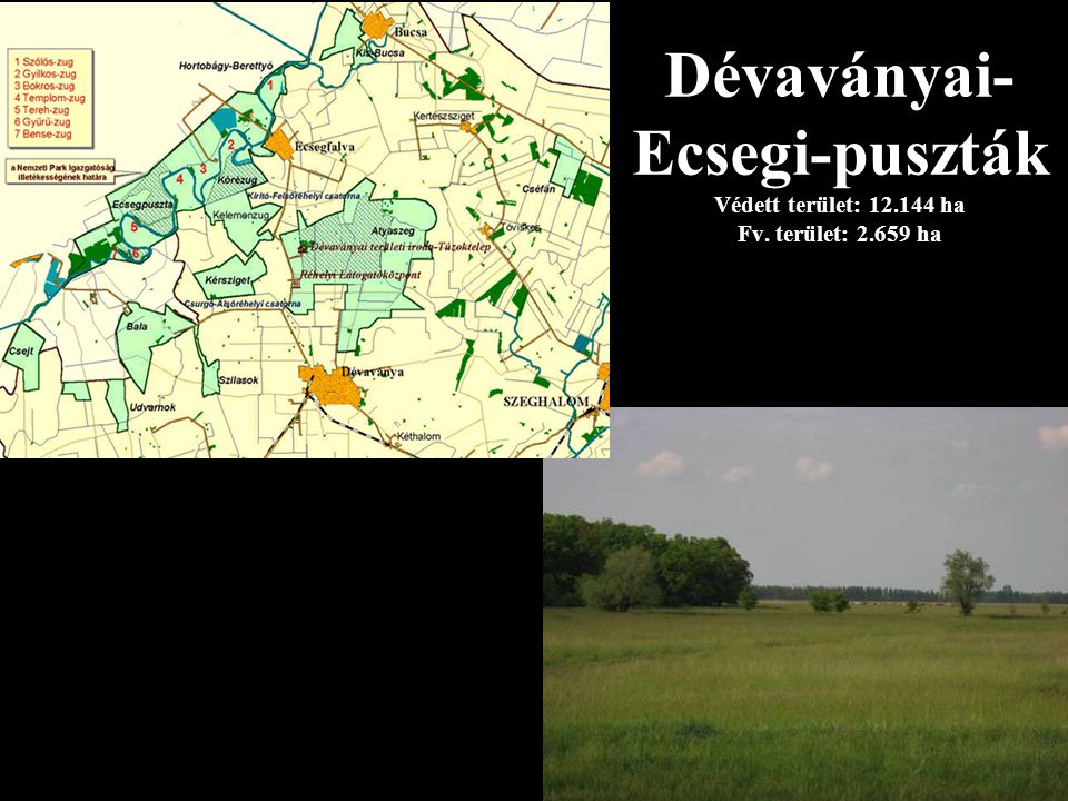 Dévaványai- Ecsegi-puszták Védett terület: ha Fv. terület: ha