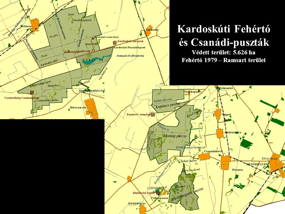 Kardoskúti Fehértó és Csanádi-puszták Védett terület: ha Fehértó 1979 – Ramsari terület
