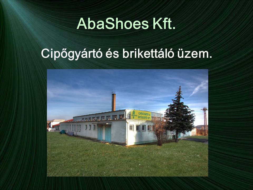 AbaShoes Kft. Cipőgyártó és brikettáló üzem.