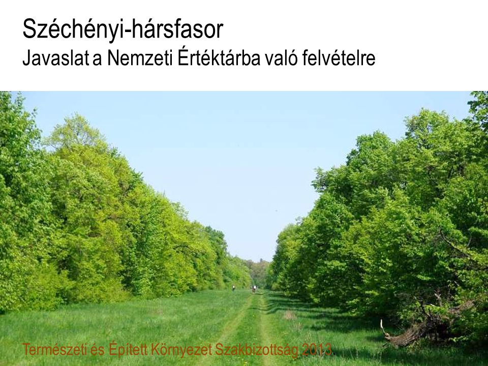 Széchényi-hársfasor Javaslat a Nemzeti Értéktárba való felvételre Természeti és Épített Környezet Szakbizottság 2013.