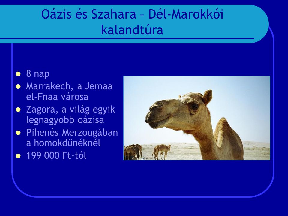 Oázis és Szahara – Dél-Marokkói kalandtúra  8 nap  Marrakech, a Jemaa el-Fnaa városa  Zagora, a világ egyik legnagyobb oázisa  Pihenés Merzougában a homokdűnéknél  Ft-tól