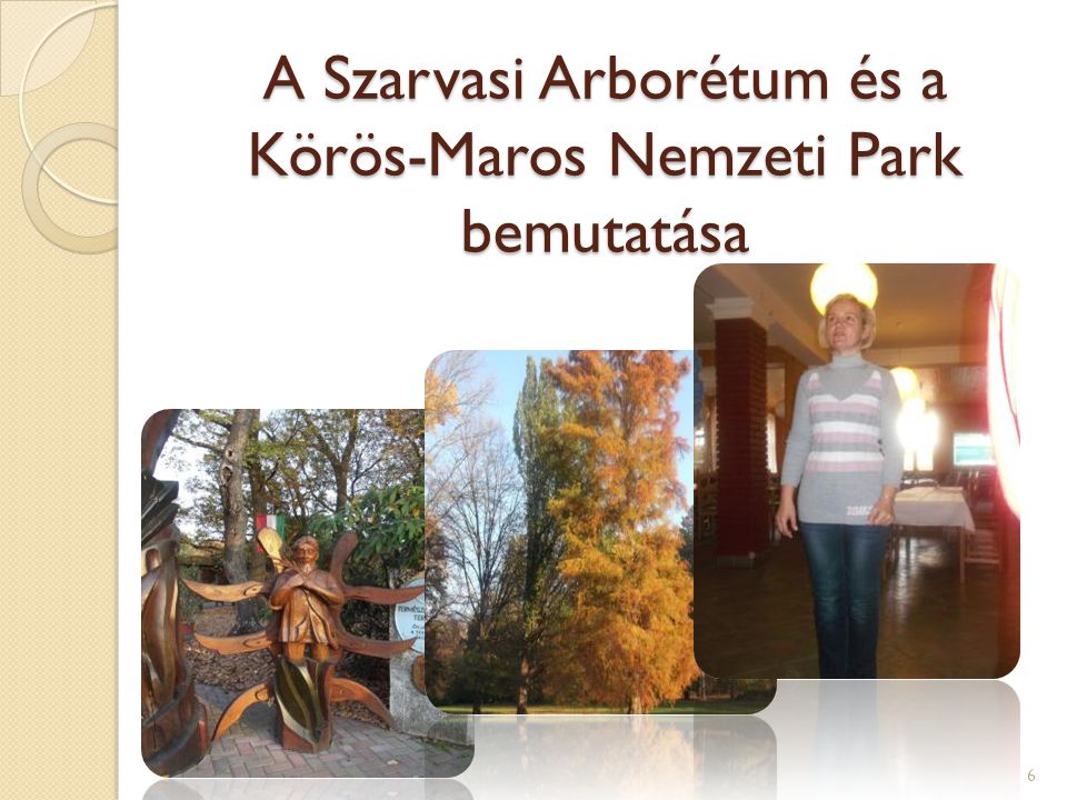 A Szarvasi Arborétum és a Körös-Maros Nemzeti Park bemutatása 6