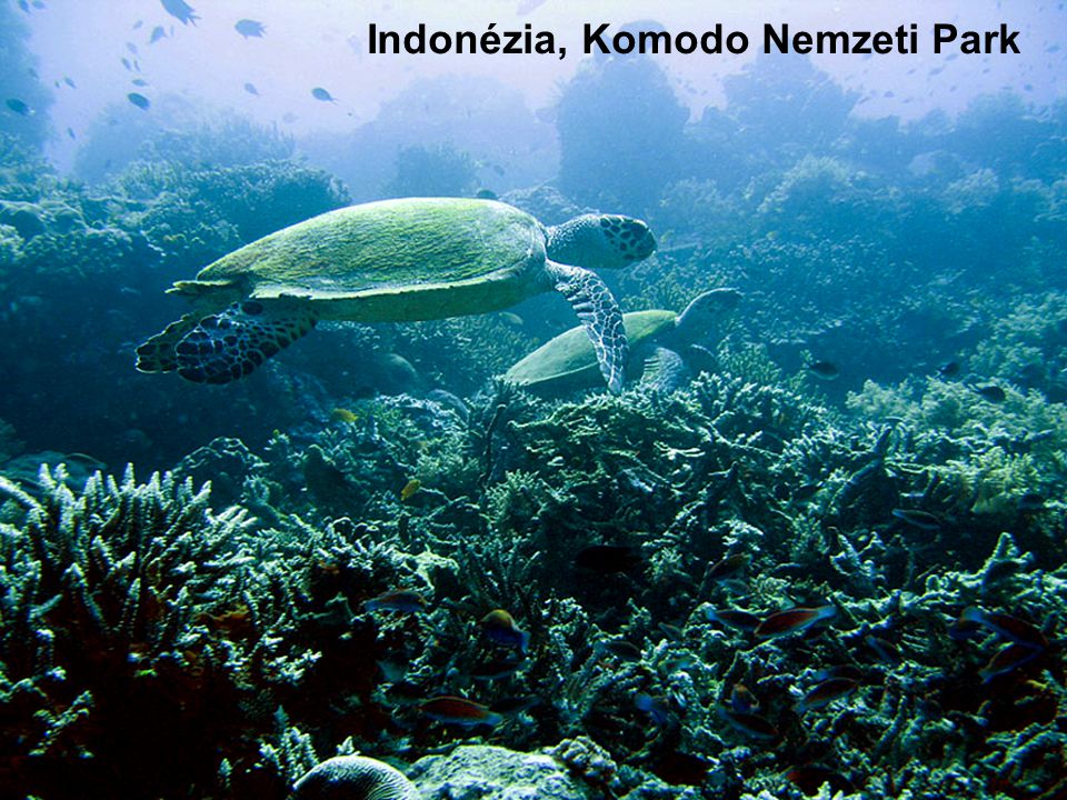 Indonesia s Komodo national park. Indonézia, Komodo Nemzeti Park