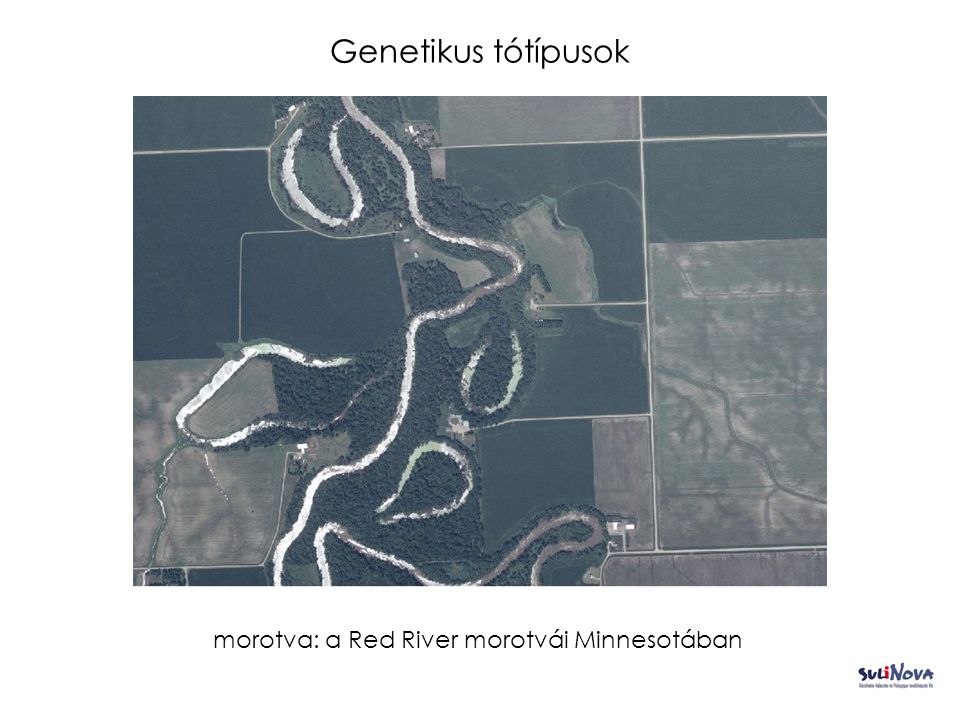 Genetikus tótípusok morotva: a Red River morotvái Minnesotában