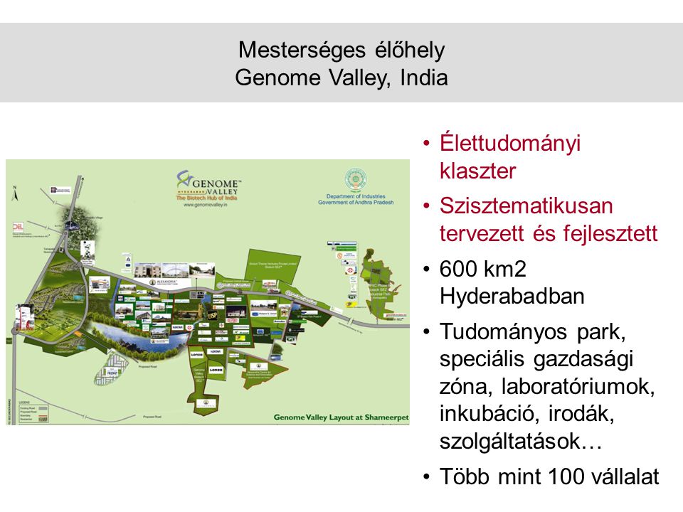 Mesterséges élőhely Genome Valley, India •Élettudományi klaszter •Szisztematikusan tervezett és fejlesztett •600 km2 Hyderabadban •Tudományos park, speciális gazdasági zóna, laboratóriumok, inkubáció, irodák, szolgáltatások… •Több mint 100 vállalat