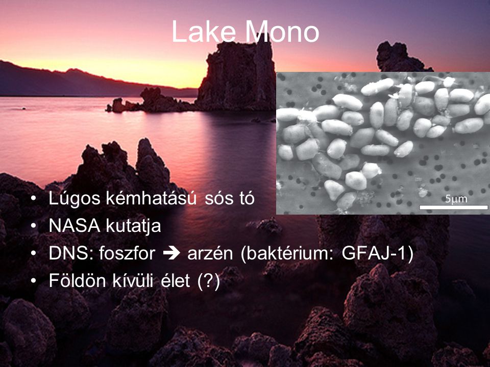 Lake Mono •Lúgos kémhatású sós tó •NASA kutatja •DNS: foszfor  arzén (baktérium: GFAJ-1) •Földön kívüli élet ( )