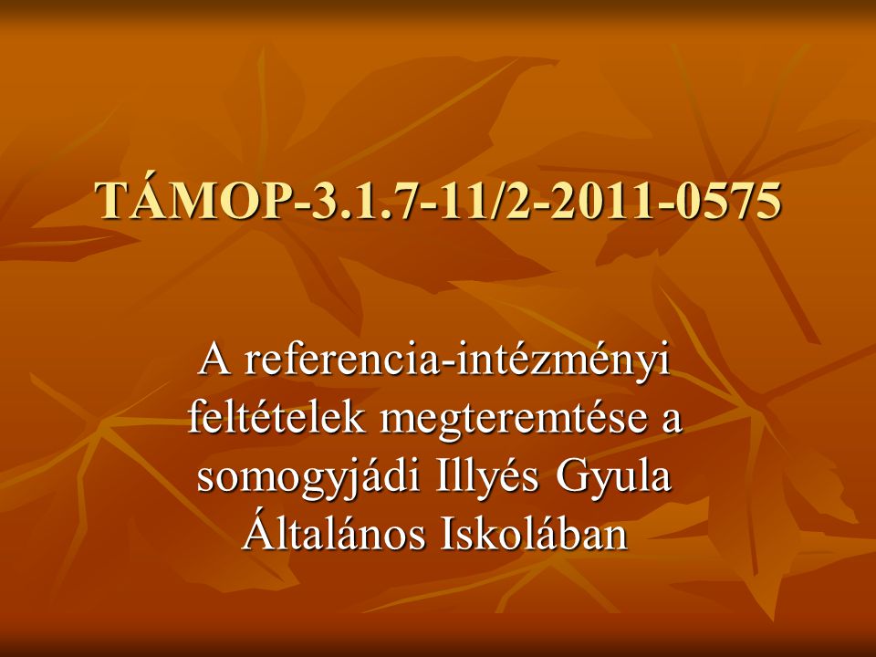 TÁMOP / A referencia-intézményi feltételek megteremtése a somogyjádi Illyés Gyula Általános Iskolában