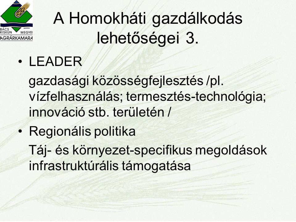 A Homokháti gazdálkodás lehetőségei 3. •LEADER gazdasági közösségfejlesztés /pl.