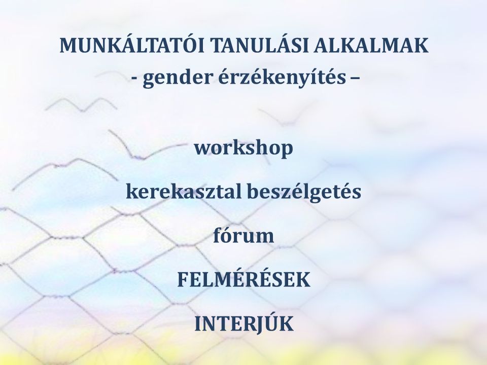 SZEREP TANMŰHELY MUNKÁLTATÓI TANULÁSI ALKALMAK - gender érzékenyítés – workshop kerekasztal beszélgetés fórum FELMÉRÉSEK INTERJÚK