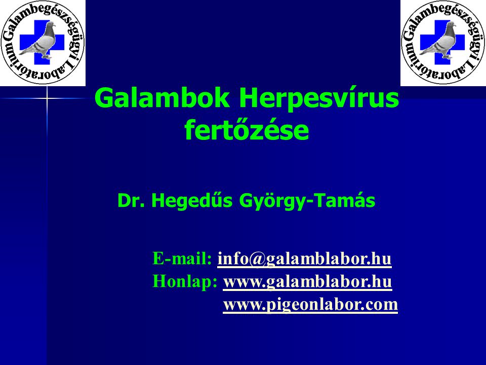Galambok Herpesvírus fertőzése Dr.