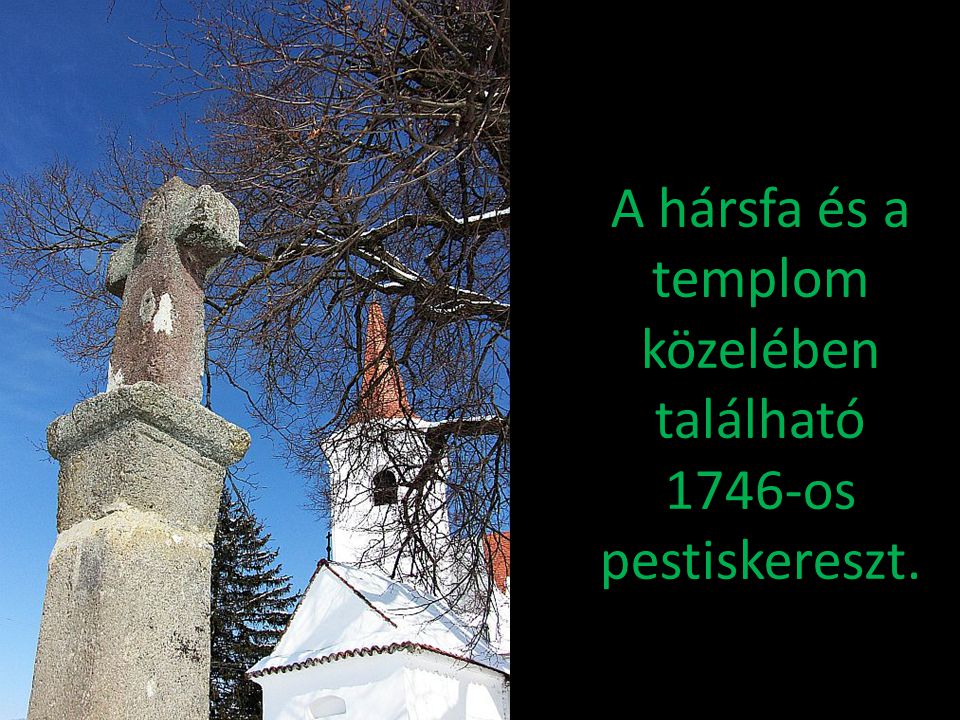 A hársfa és a templom közelében található 1746-os pestiskereszt.