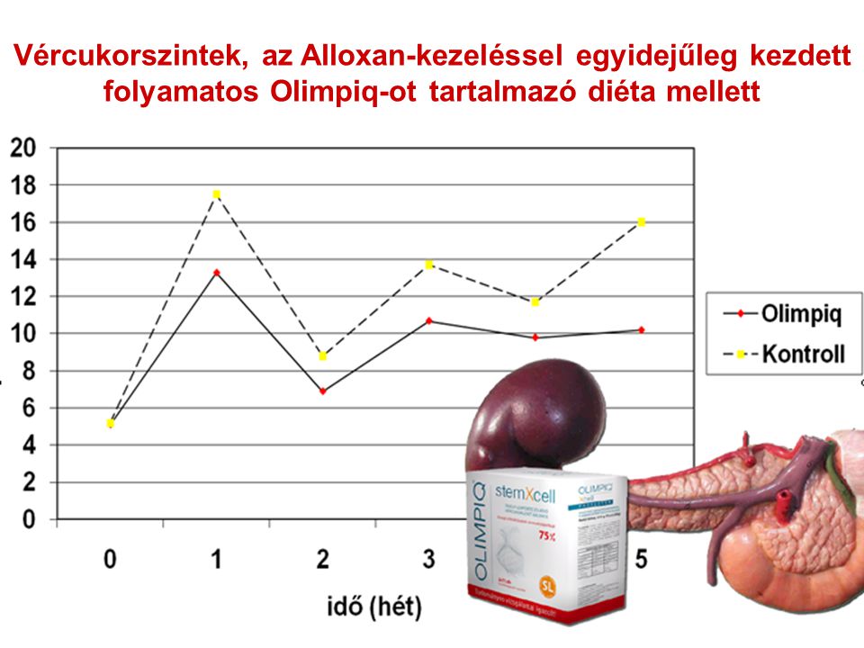 Vércukorszintek, az Alloxan-kezeléssel egyidejűleg kezdett folyamatos Olimpiq-ot tartalmazó diéta mellett