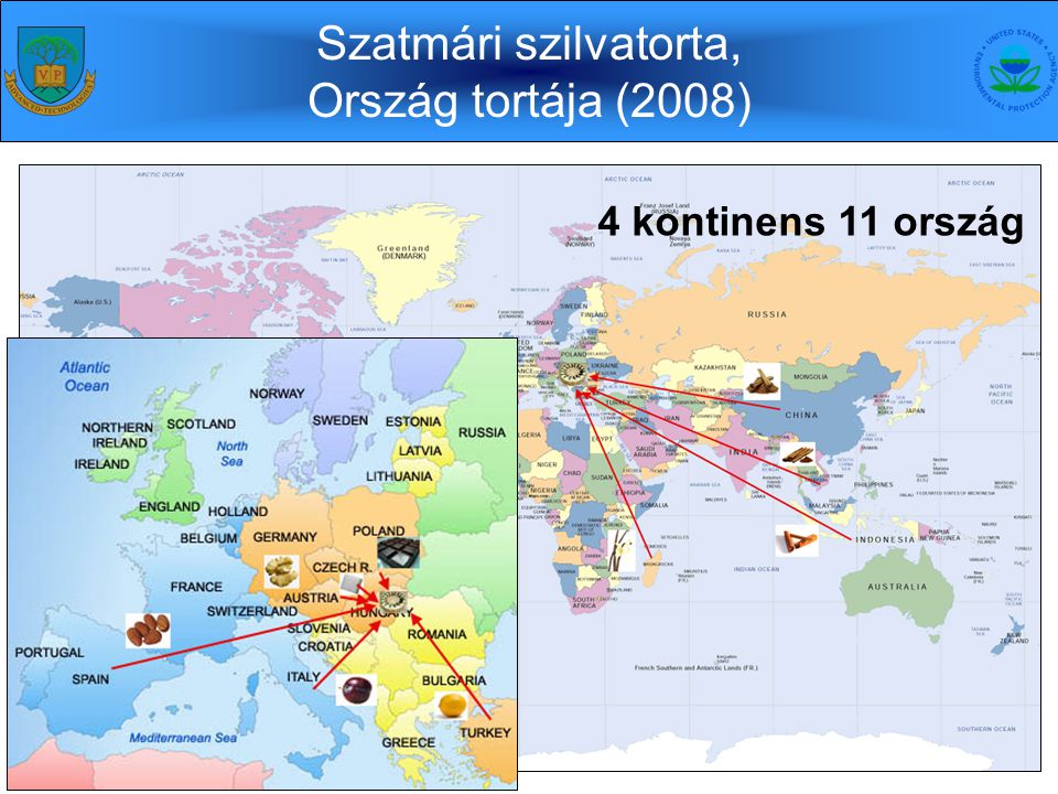 Szatmári szilvatorta, Ország tortája (2008) 4 kontinens 11 ország