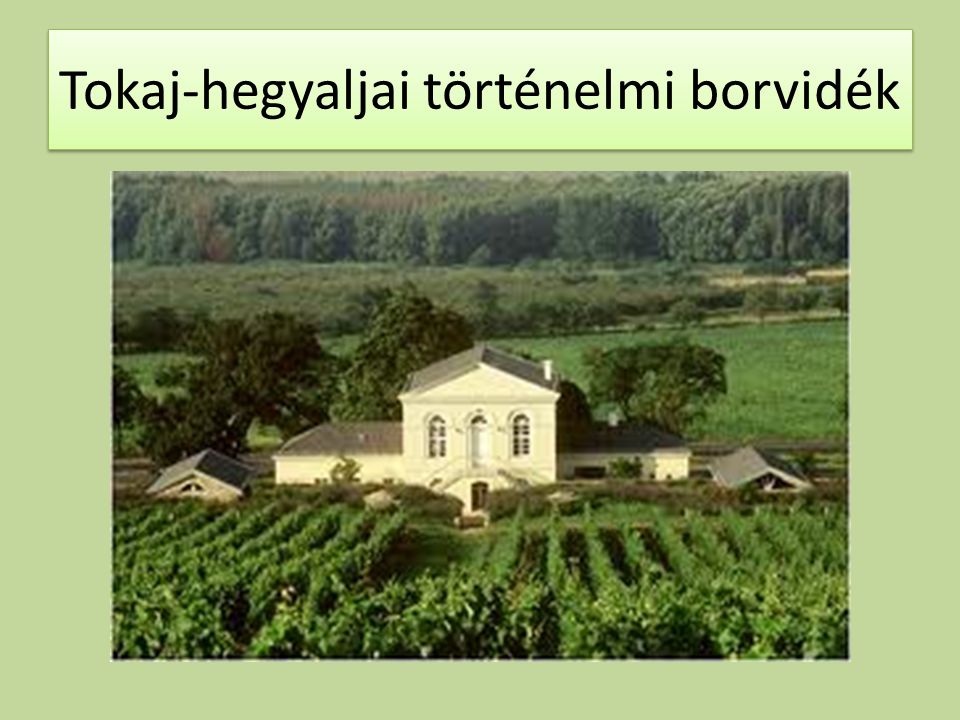 Tokaj-hegyaljai történelmi borvidék