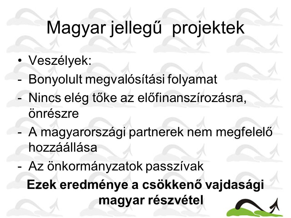Magyar jellegű projektek Veszélyek: -Bonyolult megvalósítási folyamat -Nincs elég tőke az előfinanszírozásra, önrészre -A magyarországi partnerek nem megfelelő hozzáállása -Az önkormányzatok passzívak Ezek eredménye a csökkenő vajdasági magyar részvétel