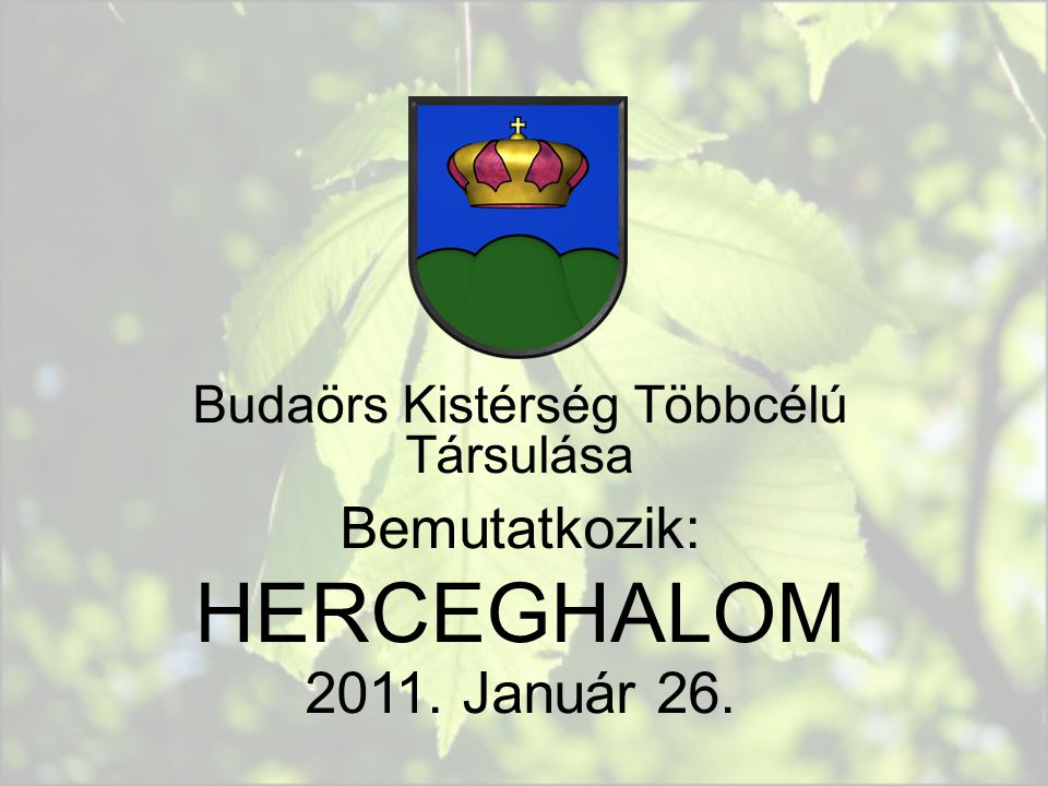 Budaörs Kistérség Többcélú Társulása Bemutatkozik: HERCEGHALOM Január 26.