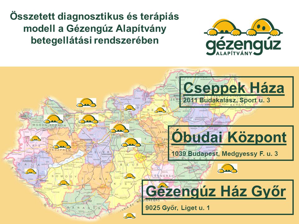 Összetett diagnosztikus és terápiás modell a Gézengúz Alapítvány betegellátási rendszerében Gézengúz Ház Győr 9025 Győr, Liget u.