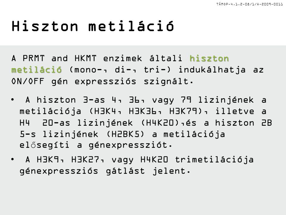 TÁMOP /1/A Hiszton metiláció hiszton metiláció A PRMT and HKMT enzimek általi hiszton metiláció (mono-, di-, tri-) indukálhatja az ON/OFF gén expressziós szignált.