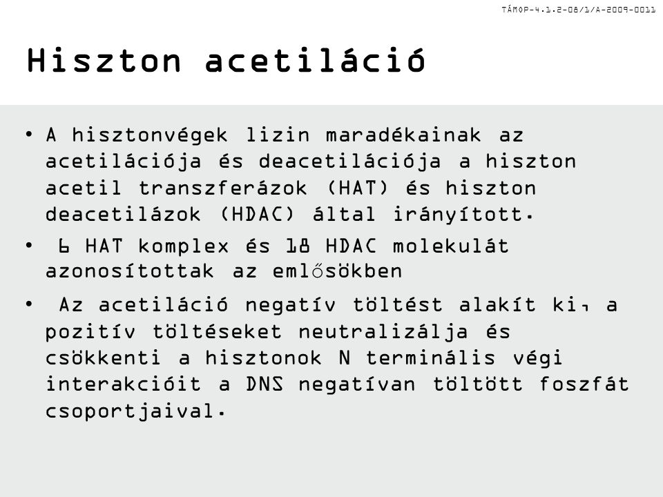 TÁMOP /1/A Hiszton acetiláció A hisztonvégek lizin maradékainak az acetilációja és deacetilációja a hiszton acetil transzferázok (HAT) és hiszton deacetilázok (HDAC) által irányított.