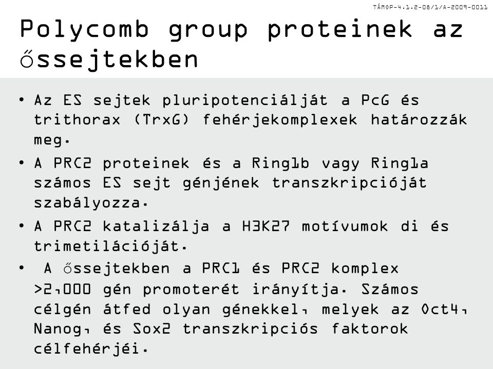 TÁMOP /1/A Polycomb group proteinek az őssejtekben Az ES sejtek pluripotenciálját a PcG és trithorax (TrxG) fehérjekomplexek határozzák meg.