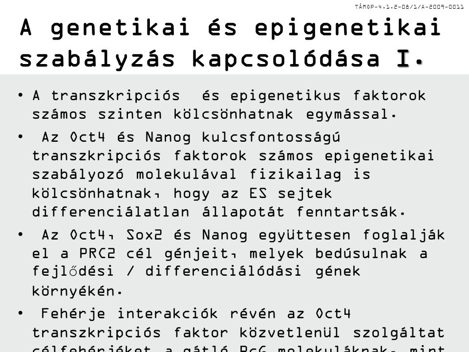 TÁMOP /1/A I. A genetikai és epigenetikai szabályzás kapcsolódása I.