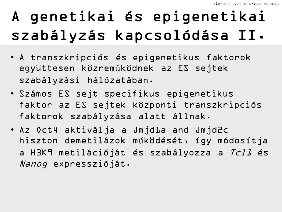TÁMOP /1/A A genetikai és epigenetikai szabályzás kapcsolódása II.