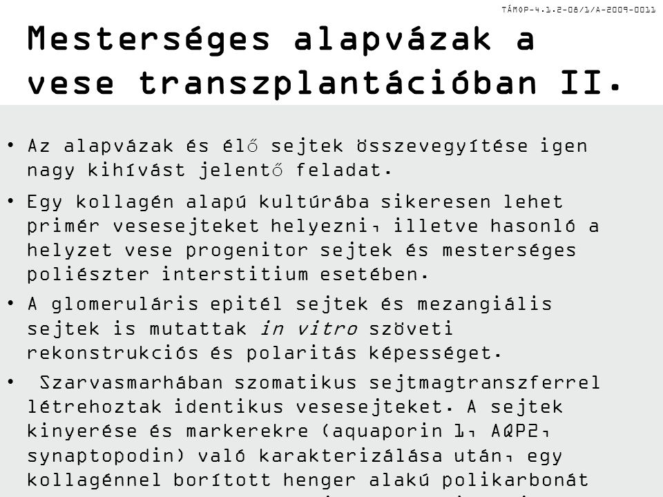 TÁMOP /1/A I. Mesterséges alapvázak a vese transzplantációban I.