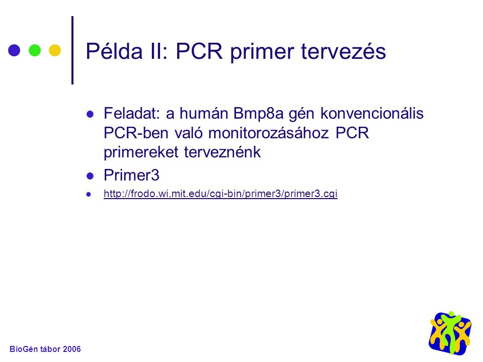 Példa II: PCR primer tervezés Feladat: a humán Bmp8a gén konvencionális PCR-ben való monitorozásához PCR primereket terveznénk Primer3