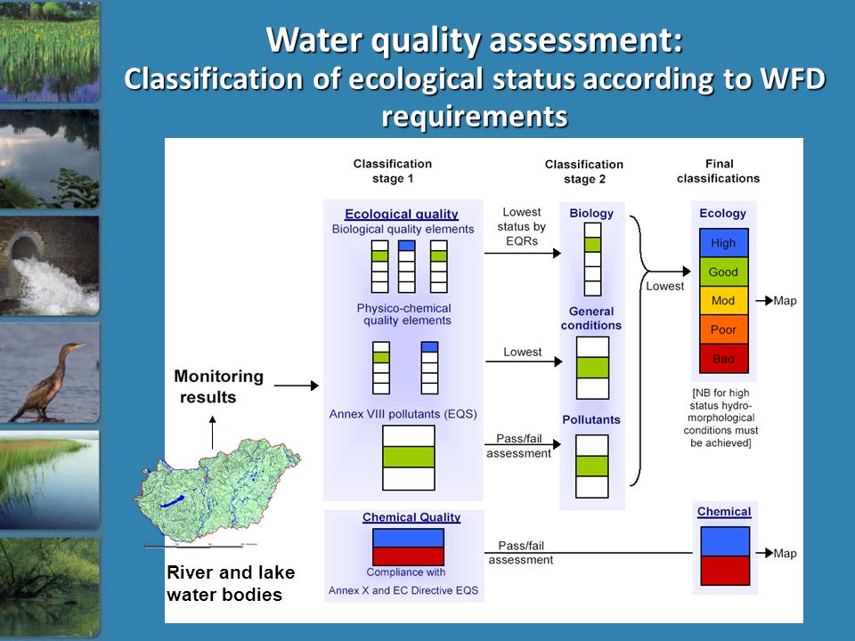 Water quality assessment: Classification of ecological status according to WFD requirements River and lake water bodies