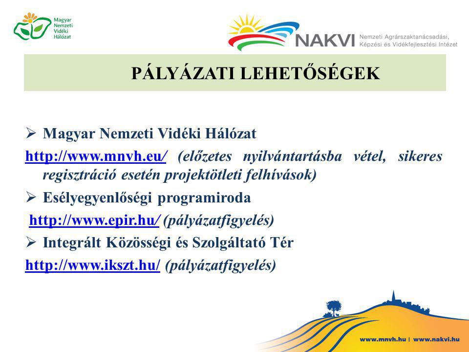 PÁLYÁZATI LEHETŐSÉGEK  Magyar Nemzeti Vidéki Hálózat   (előzetes nyilvántartásba vétel, sikeres regisztráció esetén projektötleti felhívások)  Esélyegyenlőségi programiroda   (pályázatfigyelés)   Integrált Közösségi és Szolgáltató Tér   (pályázatfigyelés)